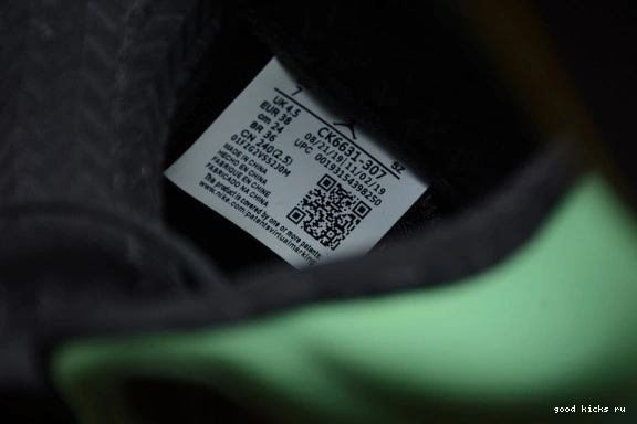 5 RETRO CK6631-307 SE OREGON CK6631-307 AIR JORDAN 0513